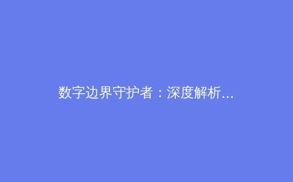 数字边界守护者：深度解析VPN技术演进与全球网络自由新格局 - 2