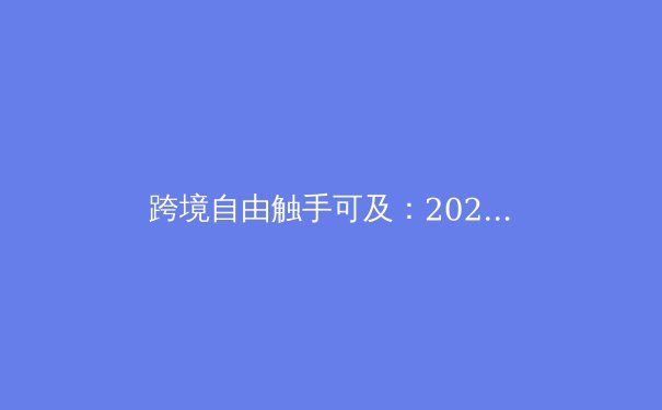 跨境自由触手可及：2024年VPN技术演进与隐私保护深度解析 - 3