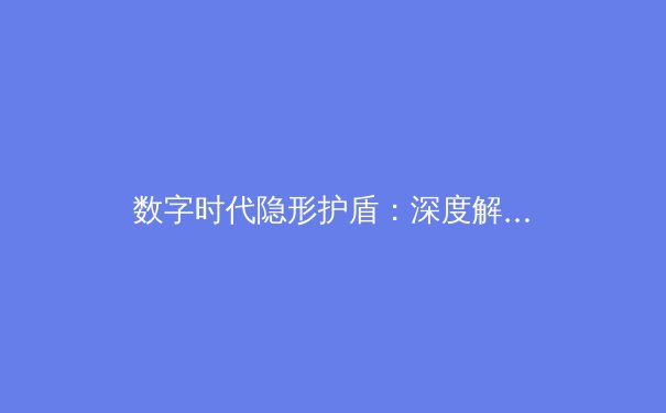 数字时代隐形护盾：深度解析VPN技术演进与全球网络安全前沿动态 - 2